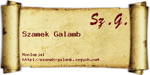 Szamek Galamb névjegykártya